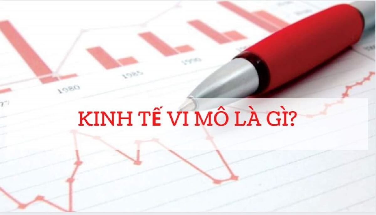Kinh tế vĩ mô là gì? Phân biệt kinh tế vĩ mô và kinh tế vi mô