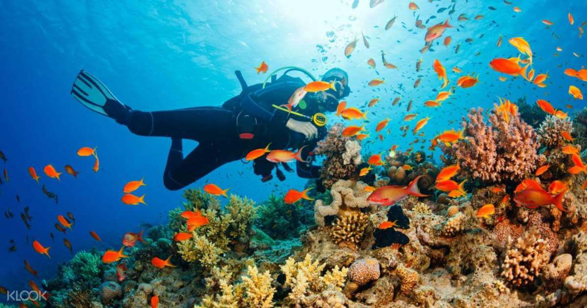 Các môn thể thao dưới nước thú vị nhất định phải thử