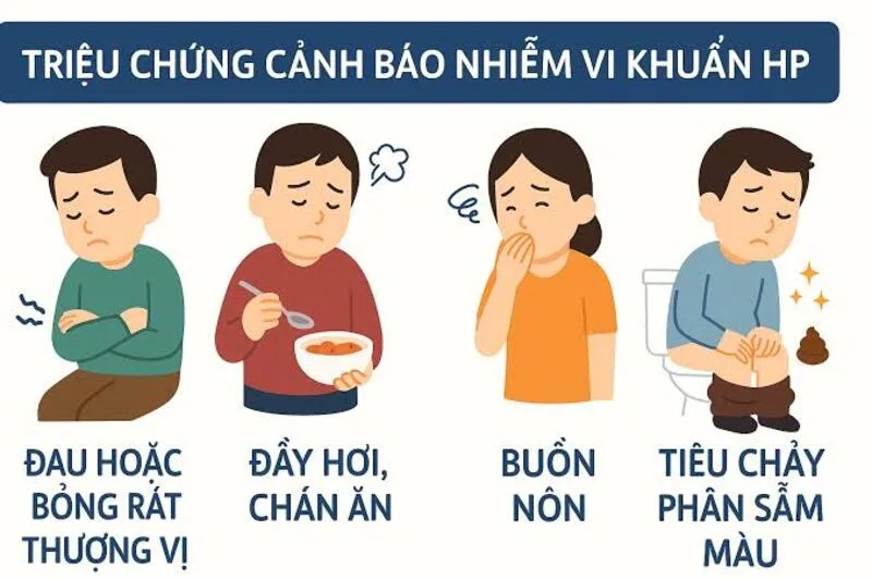 HP dạ dày là gì